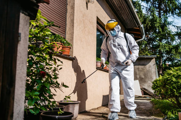 Best Bed Bug Extermination  in Laurel, MS