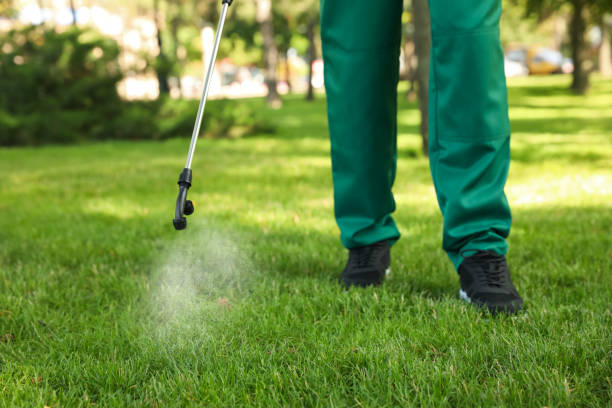 Wasp Removal Services in Laurel, MS