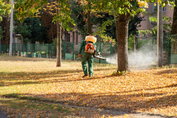 Best Affordable Pest Control Services  in Laurel, MS