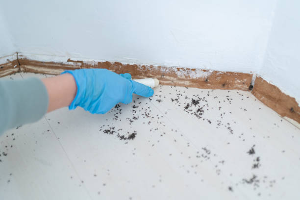 Best Termite Control Services  in Laurel, MS