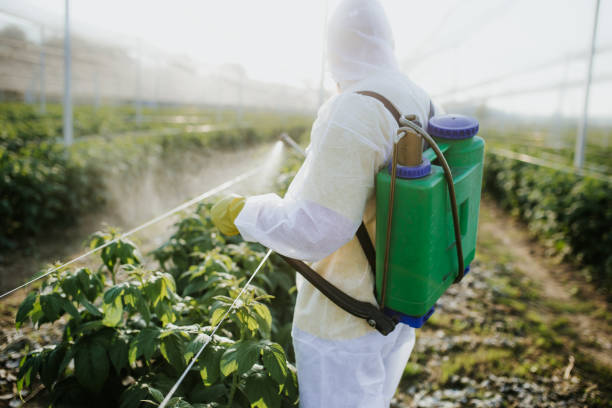 Wildlife Control Services in Laurel, MS